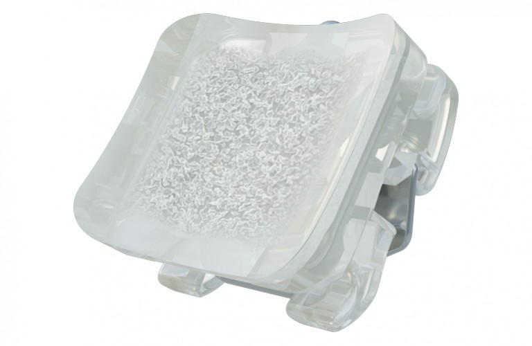 Basis des Empower 2 Clear Keramikbrackets
